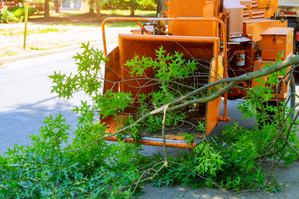 Best Lawn Drainage Solutions  in Troutdale, OR