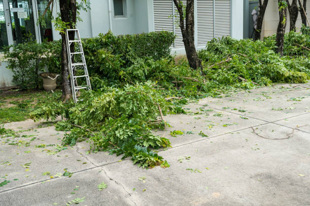 Best Tree Trimming and Pruning  in Troutdale, OR