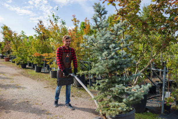 Best Weed Control  in Troutdale, OR